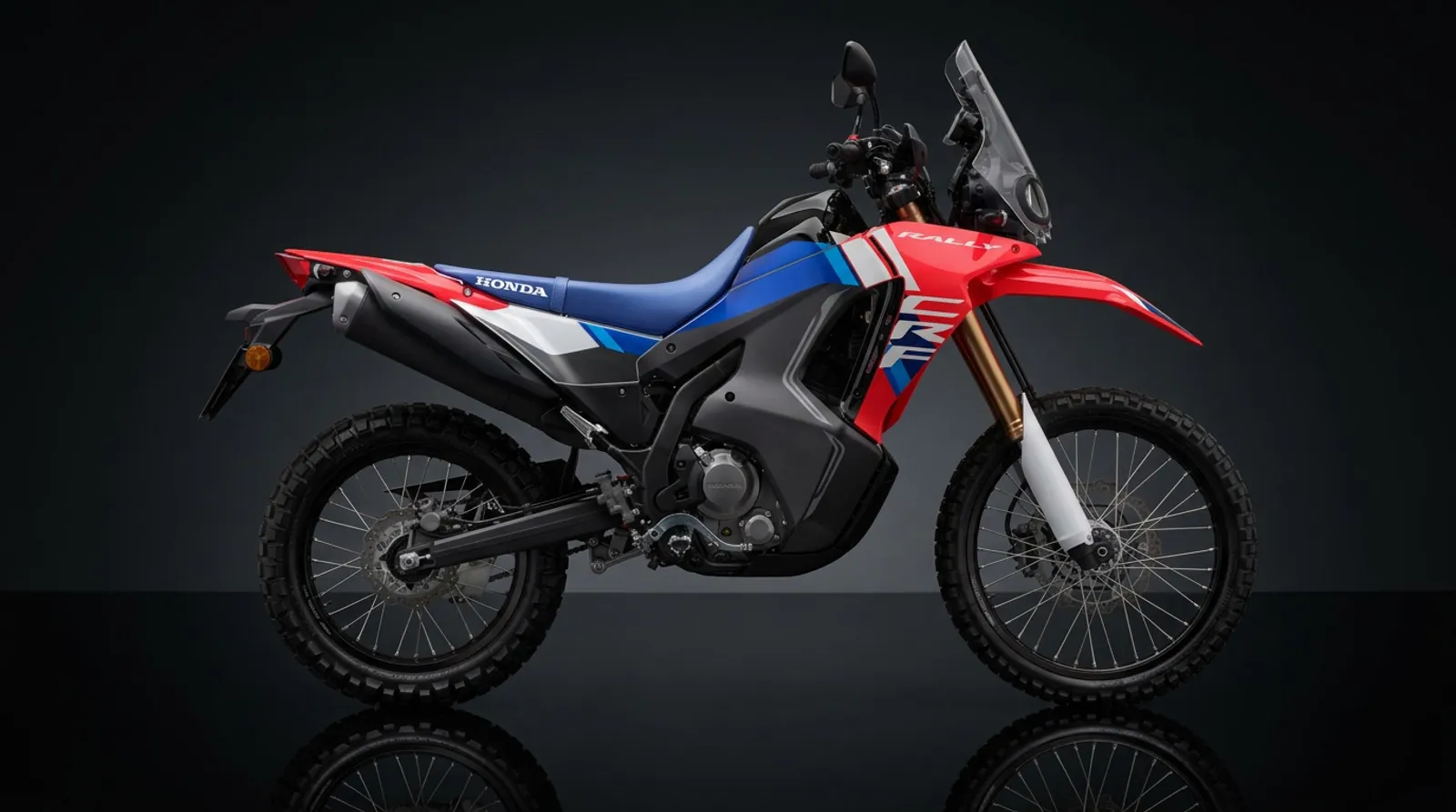 Honda CRF300 Rally