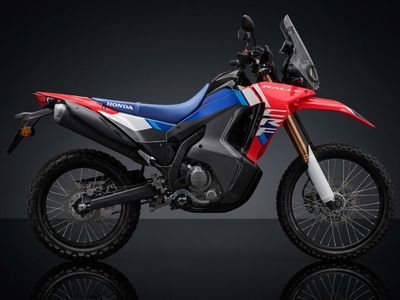 Honda CRF300 Rally