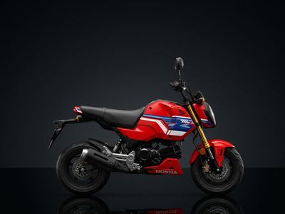Honda MSX125 Grom